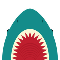 Obraz premium Rekin z otwartymi ustami i ostrymi zębami