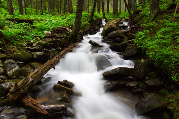 River in the woods