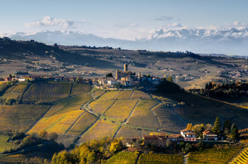 Vineyards of Langhe (Piedmont, Italy): view of Castiglione Falletto, medieval village, with mountains in the background - obrazy, fototapety, plakaty