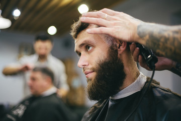 Fototapeta premium Bearded man getting his hair and beard cut at the local barber s