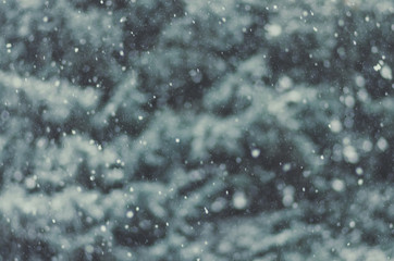 Winter, blur spruce trees, bokeh, falling snow