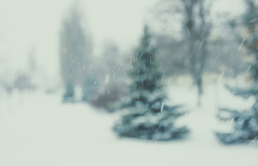Winter, blur spruce trees, bokeh, falling snow