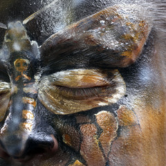 body art - butterfly Totenkopf