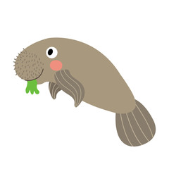Manatee animal cartoon character. Isolated on white background. Vector illustration.