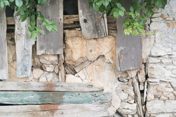 Old stone wall with wooden planks and green branches of grapes