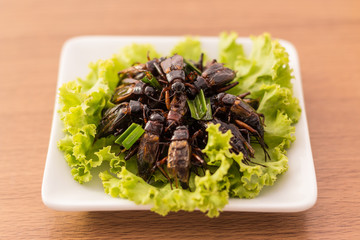 Fried insects