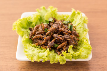 Fried insects