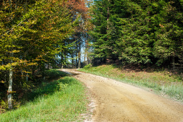 Fototapeta premium el camino a corona
