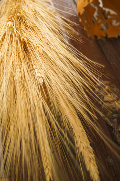 Ripe ears of wheat on the wooden background