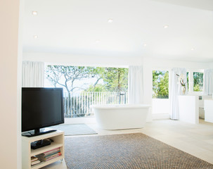 Living room interior