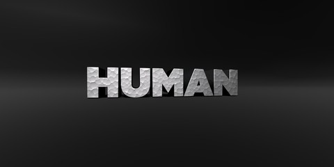 HUMAN - hammered metal finish text on black studio - 3D rendered royalty free stock photo. This image can be used for an online website banner ad or a print postcard.