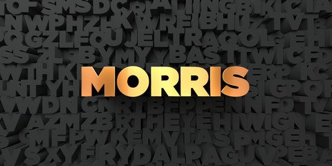 Morris - Gold text on black background - 3D rendered royalty free stock picture. This image can be used for an online website banner ad or a print postcard.