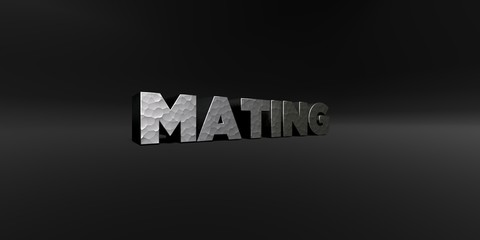 MATING - hammered metal finish text on black studio - 3D rendered royalty free stock photo. This image can be used for an online website banner ad or a print postcard.