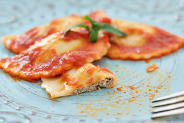 Mezzelune handmade pasta with tomato sauce
