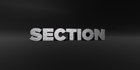 SECTION - hammered metal finish text on black studio - 3D rendered royalty free stock photo. This image can be used for an online website banner ad or a print postcard.