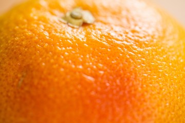 Close-up of orange