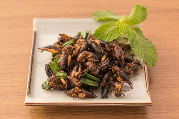 Fried insects