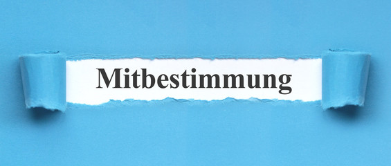 Mitbestimmung