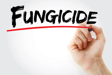 Hand writing Fungicide with marker, concept background