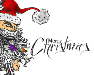 Face of Christmas character Santa Claus, Cartoon style Santa Claus. Merry Christmas! Christmas and New Year - vector illustration