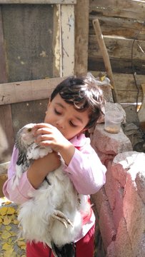 Animal love in child