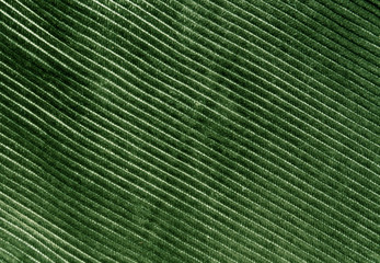 Green color cloth texture with pattern