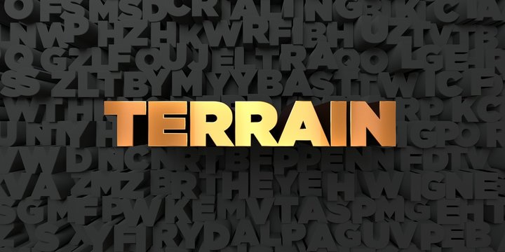 Terrain - Gold text on black background - 3D rendered royalty free stock picture. This image can be used for an online website banner ad or a print postcard.