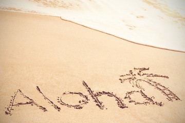 Aloha text written on sand with palm tree