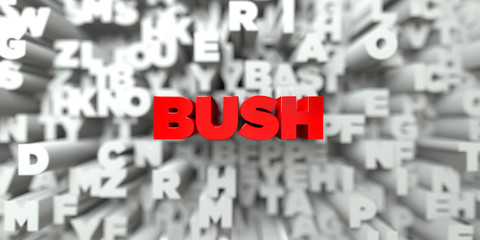 BUSH -  Red text on typography background - 3D rendered royalty free stock image. This image can be used for an online website banner ad or a print postcard.