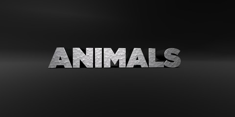 ANIMALS - hammered metal finish text on black studio - 3D rendered royalty free stock photo. This image can be used for an online website banner ad or a print postcard.