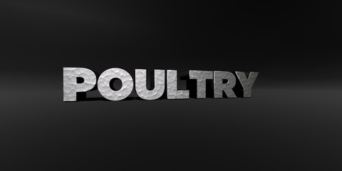 POULTRY - hammered metal finish text on black studio - 3D rendered royalty free stock photo. This image can be used for an online website banner ad or a print postcard.
