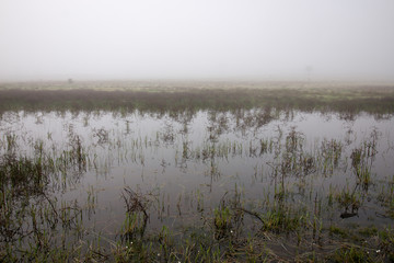 Vast land with rain ponds