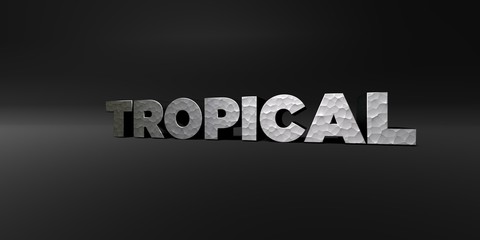 TROPICAL - hammered metal finish text on black studio - 3D rendered royalty free stock photo. This image can be used for an online website banner ad or a print postcard.