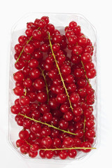 Johannisbeeren im Plastikschölchen auf weissem Untergrund