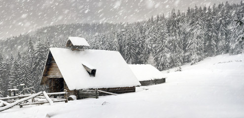 Winter house