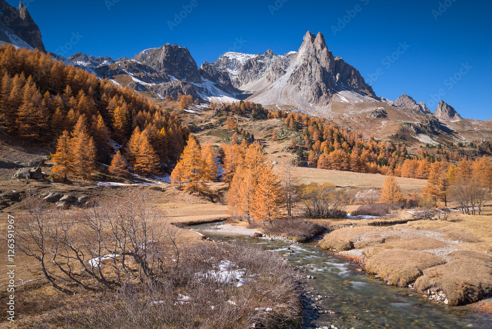 Poster The river Claree and Larch trees in Vallee de la Claree during a clear day in autumn.