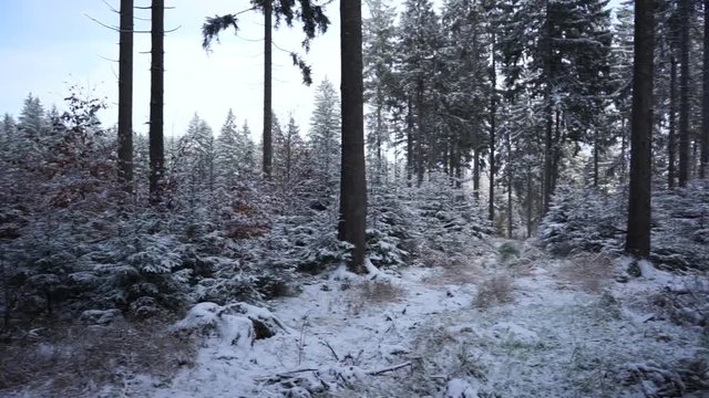 Wintereinbruch in Mittelgebirge