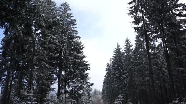 Winterwanderweg im Mittelgebirge