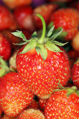 crop of strawberries