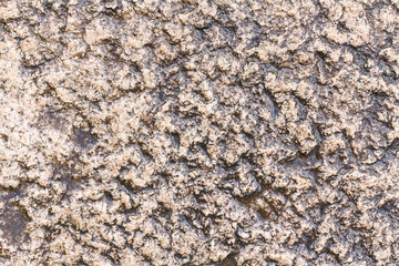 Stone texture or stone background. Stone motifs that occurs natural. Abstract stone pattern for design with copy space for text or image.