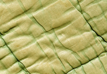 Old green and yellow color blanket texture.