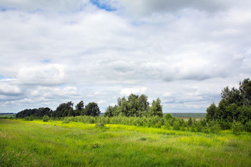 white clouds and green meadow