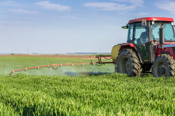 Obraz premium Farmer spraying green wheat field