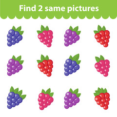 Children's educational game. Find two same pictures. Set of raspberry, blackberry, for the game find two same pictures. Vector illustration.
