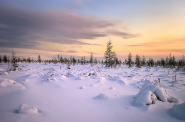 Winter landscape with forest, sun and snow. - obrazy, fototapety, plakaty