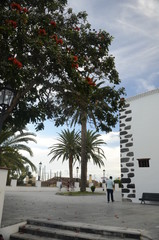 Fototapeta premium Village de San Andrès y Sauces