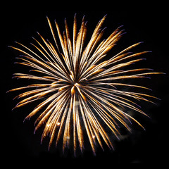element of fireworks yellow-gold color isolated on black