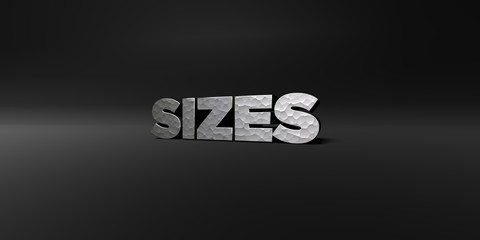 SIZES - hammered metal finish text on black studio - 3D rendered royalty free stock photo. This image can be used for an online website banner ad or a print postcard.
