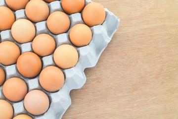 Eggs in Paper tray