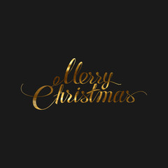Merry Christmas. Holiday Vector Illustration.